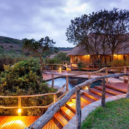 Lalibela Game Reserve Mark'S Camp Grahamstown Exterior photo