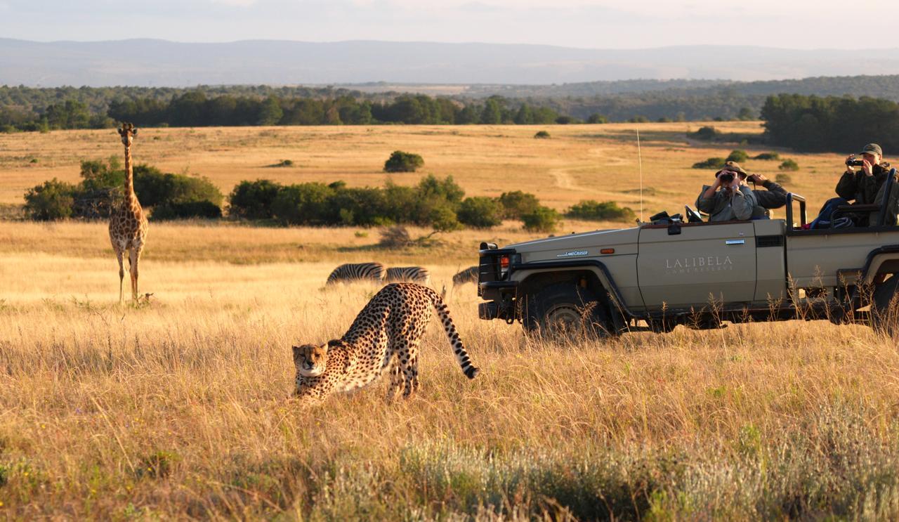 Lalibela Game Reserve Mark'S Camp Grahamstown Exterior photo